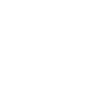 Flash Wave Logo